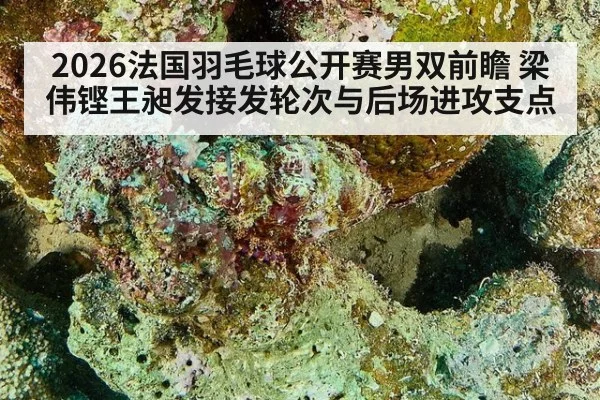 2026法国羽毛球公开赛男双前瞻 梁伟铿王昶发接发轮次与后场进攻支点